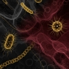 HPV Nedir?