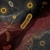 HPV Belirtileri Nelerdir?