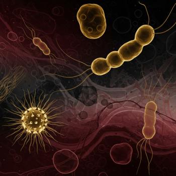 HPV Virüsü Hakkında Bilinmesi Gerekenler